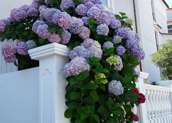 Meri 2 By Interhome Apartamento Mali Lošinj